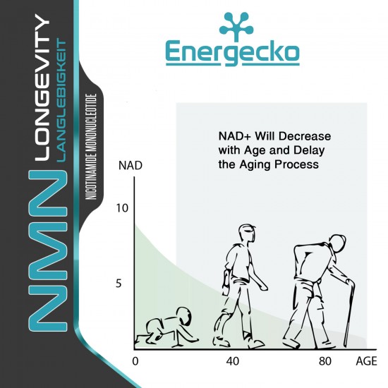 Energecko NMN Capsules with Maximum Strength 500mg 60 Capsules